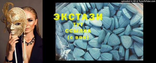 индика Медвежьегорск